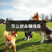 怎么健走最强身(图2) 怎么健走最强身(图2)