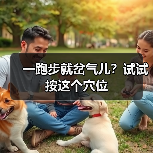 一跑步就岔气儿？试试按这个穴位（图4）