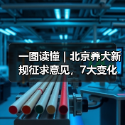 一图读懂｜北京养犬新规征求意见，7大变化速来了解（图2）