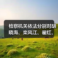检察机关依法分别对胡晓海、栾风江、翟红、李波提起公诉（图1）