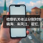 检察机关依法分别对胡晓海、栾风江、翟红、李波提起公诉（图2）