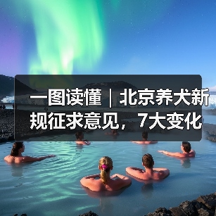 一图读懂｜北京养犬新规征求意见，7大变化速来了解（图3）
