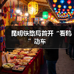 昆明铁路局首开“看鸥”动车(图2) 昆明铁路局首开“看鸥”动车(图2)