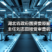 湖北省政府国资委原副主任刘志田接受审查调查（图4）
