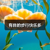 有目的步行快乐多(图4) 有目的步行快乐多(图4)