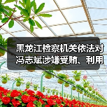 黑龙江检察机关依法对冯志斌涉嫌受贿、利用影响力受贿、国有公司人员滥用职权案提起公诉（图4）
