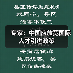 专家:中国应放宽国际人才引进政策(图4) 专家:中国应放宽国际人才引进政策(图4)