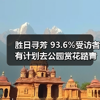 胜日寻芳 93.6%受访者有计划去公园赏花踏青（图1）
