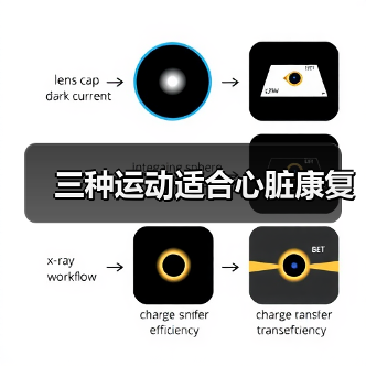 三种运动适合心脏康复(图1) 三种运动适合心脏康复(图1)