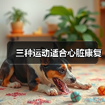 三种运动适合心脏康复(图3) 三种运动适合心脏康复(图3)