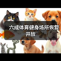 六成体育健身场所恢复开放（图3）