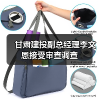 甘肃建投副总经理李文恩接受审查调查（图2）