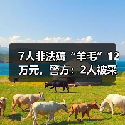 7人非法薅“羊毛”12万元，警方：2人被采取刑事强制措施（图2）