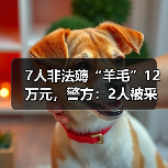 7人非法薅“羊毛”12万元，警方：2人被采取刑事强制措施