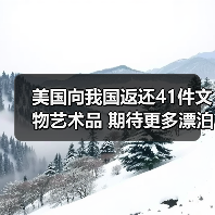 美国向我国返还41件文物艺术品 期待更多漂泊海外的文物回家（图3）