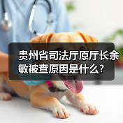 贵州省司法厅原厅长余敏被查原因是什么？（图1）