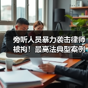 旁听人员暴力袭击律师被拘！最高法典型案例警示（图4）