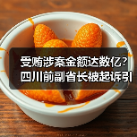 受贿涉案金额达数亿？四川前副省长被起诉引关注（图1）