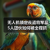 无人机锁定夜盗将军墓 5人团伙如何被全程抓拍？（图3）