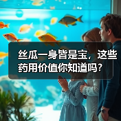 丝瓜一身皆是宝,这些药用价值你知道吗?(图1) 丝瓜一身皆是宝,这些药用价值你知道吗?(图1)