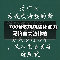 700台农机机械化助力马铃薯高效种植(图4) 700台农机机械化助力马铃薯高效种植(图4)