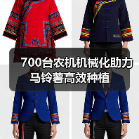 700台农机机械化助力马铃薯高效种植(图2) 700台农机机械化助力马铃薯高效种植(图2)