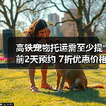 高铁宠物托运需至少提前2天预约 7折优惠价格(图2) 高铁宠物托运需至少提前2天预约 7折优惠价格(图2)