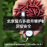 北京警方多措并举护航赏樱安全（图2）