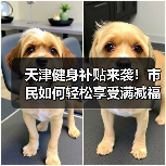 天津健身补贴来袭！市民如何轻松享受满减福利？