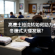 高唐土地流转如何助力冬暖式大棚发展?(图4) 高唐土地流转如何助力冬暖式大棚发展?(图4)