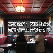 赏花经济:文旅融合如何撬动产业升级新引擎?(图2) 赏花经济:文旅融合如何撬动产业升级新引擎?(图2)