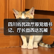 四川省民政厅原党组书记、厅长益西达瓦被“双开”