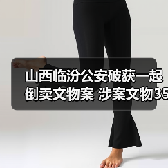 山西临汾公安破获一起倒卖文物案 涉案文物350余件（图2）