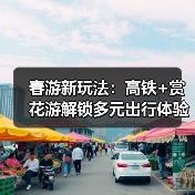 春游新玩法:高铁+赏花游解锁多元出行体验(图2) 春游新玩法:高铁+赏花游解锁多元出行体验(图2)