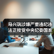 马兴瑞涉嫌严重违纪违法正接受中央纪委国家监委纪律审查和监察调查（图4）