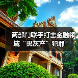 两部门联手打击金融领域“黑灰产”犯罪（图3）