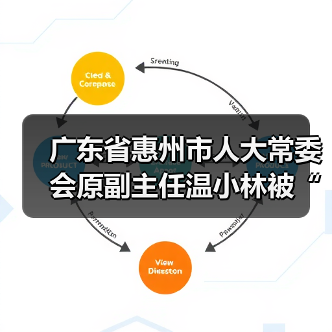 广东省惠州市人大常委会原副主任温小林被“双开”（图4）