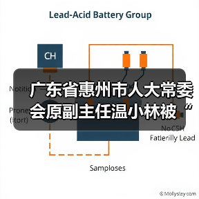 广东省惠州市人大常委会原副主任温小林被“双开”（图2）