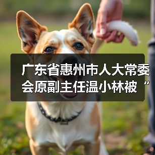 广东省惠州市人大常委会原副主任温小林被“双开”（图1）
