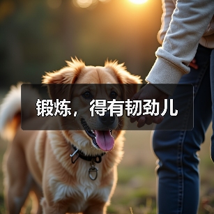 锻炼，得有韧劲儿（图4）