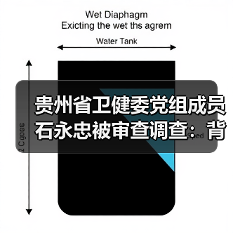 贵州省卫健委党组成员石永忠被审查调查：背后真相如何？