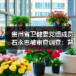 贵州省卫健委党组成员石永忠被审查调查：背后真相如何？（图2）