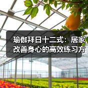瑜伽拜日十二式：居家改善身心的高效练习方法（图4）