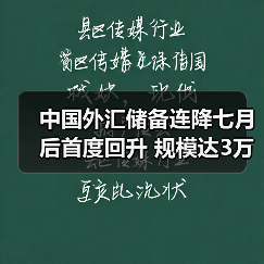 中国外汇储备连降七月后首度回升 规模达3万亿美元（图3）