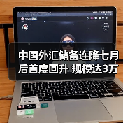 中国外汇储备连降七月后首度回升 规模达3万亿美元（图2）