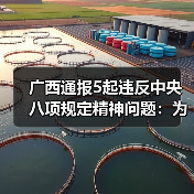 广西通报5起违反中央八项规定精神问题：为何频发？（图3）