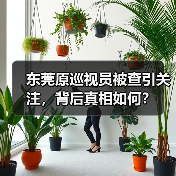 东莞原巡视员被查引关注，背后真相如何？（图1）