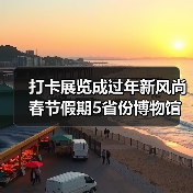 打卡展览成过年新风尚 春节假期5省份博物馆接待游客超500万人次（图4）