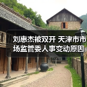 刘惠杰被双开 天津市市场监管委人事变动原因（图3）