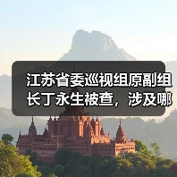 江苏省委巡视组原副组长丁永生被查，涉及哪些违纪问题？（图3）
